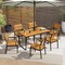 Set of 2 Patio Outdoor Dining Chair with Curved Backrest and Wide Armrests